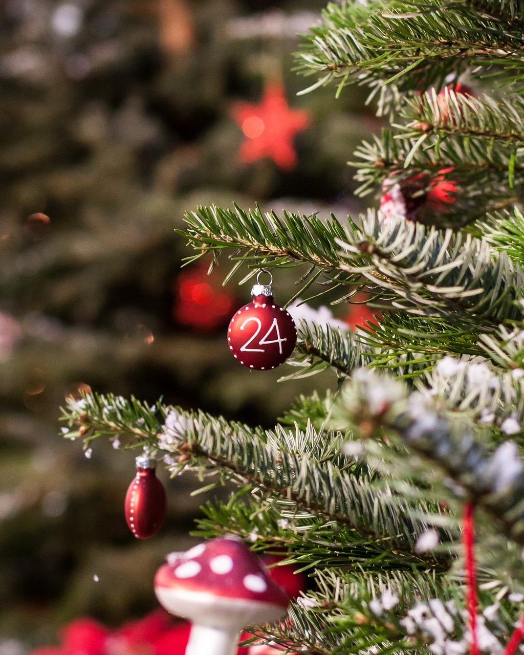 sapin de noël décoré avec un décoration en forme d'étoile qui affiche le nombre 24