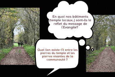 Le groupe Manré avançant sur un chemin bordé d'arbres. Une bulle de bande dessinée avec le texte:
