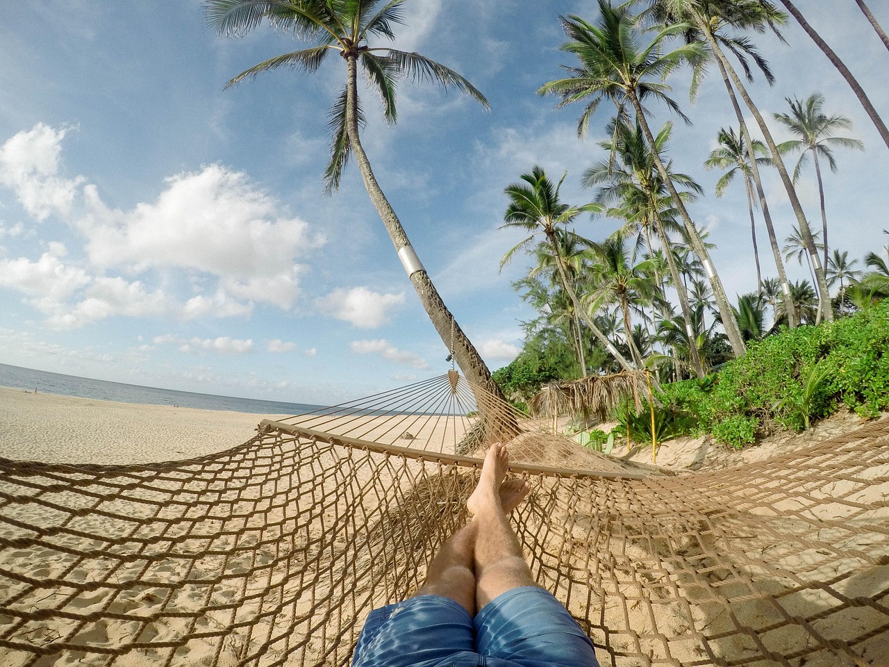 Un hamac accroché entre deux palmier sur la plage.