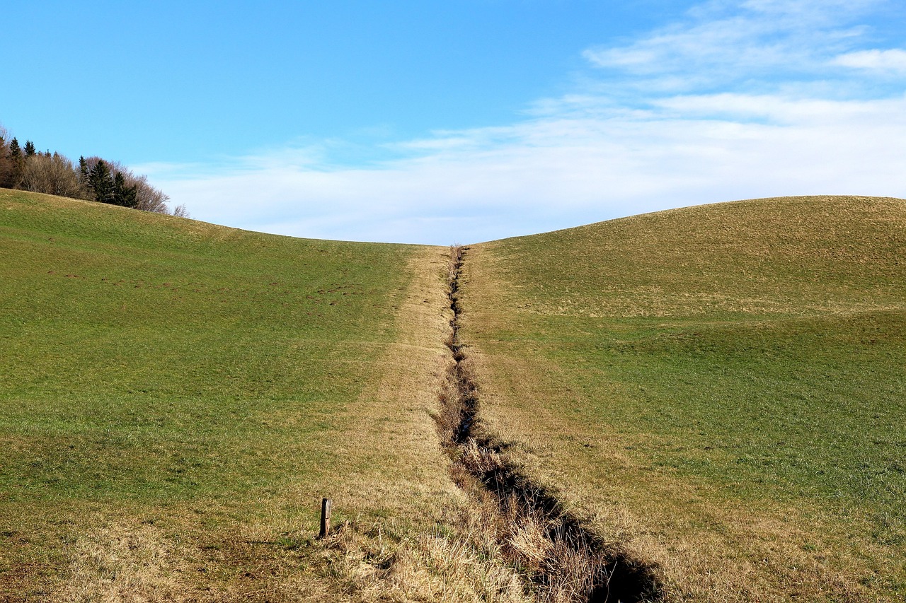 Une prairie séparée en son milieu par une crevasse.