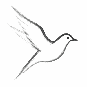 Une colombe dessinée à l'encre de Chine
