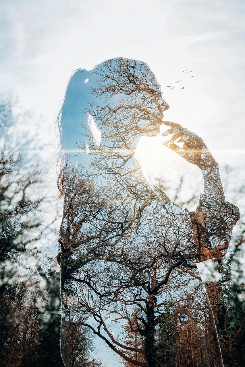 La silhouette d'une femme qui se dessine en filigrane à travers les branches des arbres.