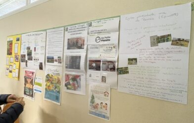 Retour sur la journée Eglise Verte