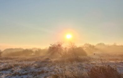 Prédication: Dimanche 15 mars 2026