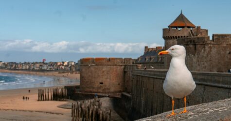 Groupe famille en commun avec Saint-Malo
