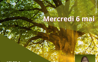 Ecologie et foi : un même combat pour la Création ?