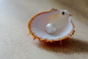 Une perle dans une coquille Saint Jacques