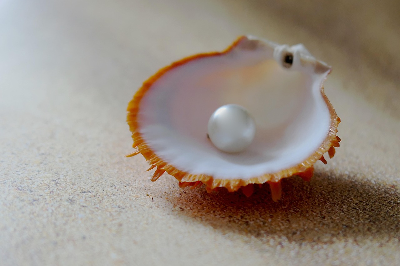 Une perle dans une coquille Saint Jacques
