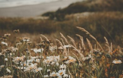 Prédication: Dieu tout puissant?
